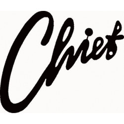 Chief Holzofen 13kW Plus